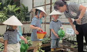 children water plants at hei schools saigon central