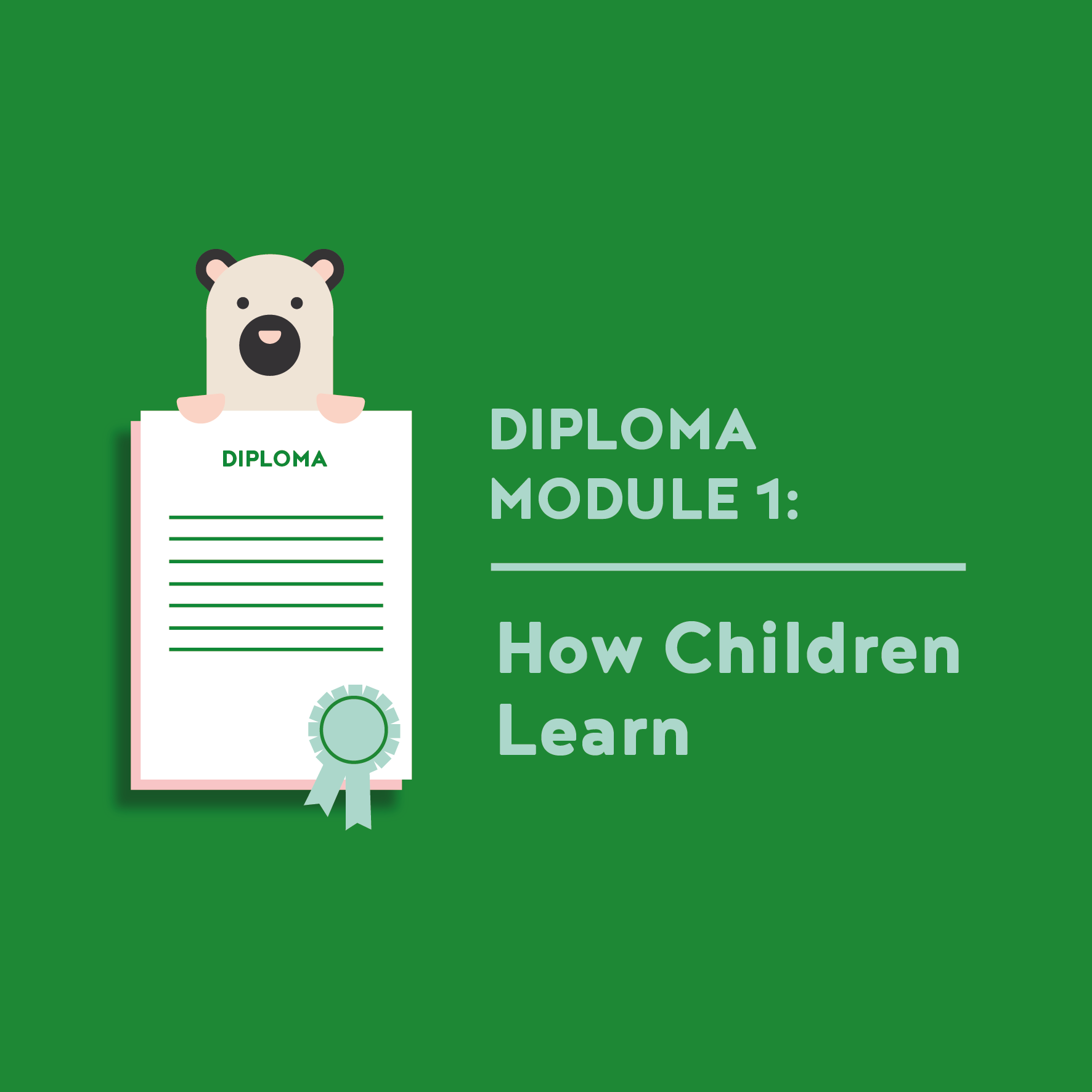 Teacher Diploma Module 1