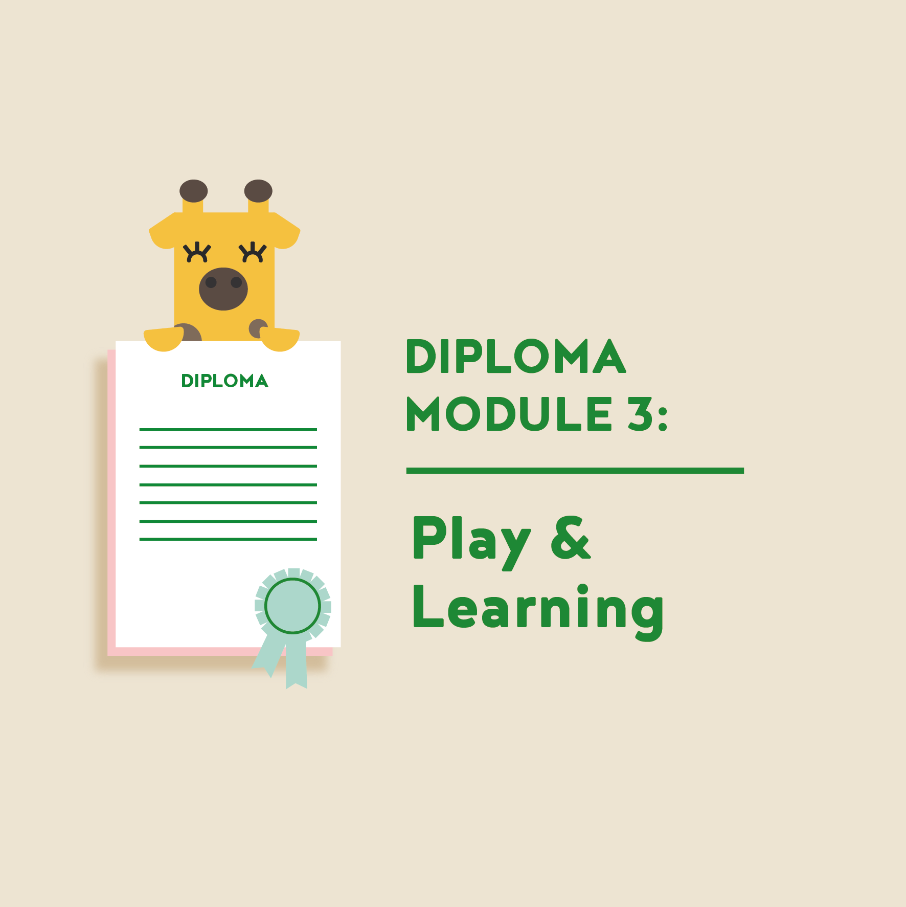Teacher Diploma Module 3